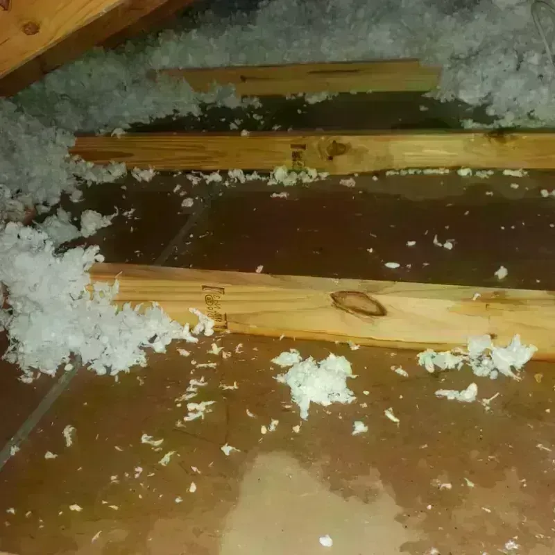 Attic Water Damage in Wellington, FL